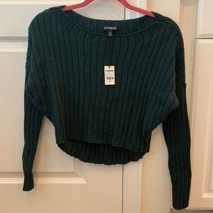 Express Cropped Green Sweater